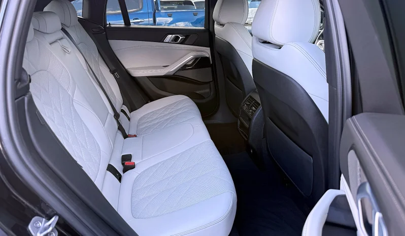 
								BMW X6 xDrive30d AT MHEV full									